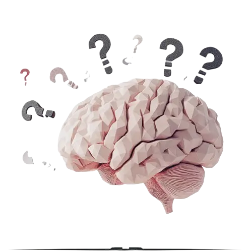 Teaching to build long term memory